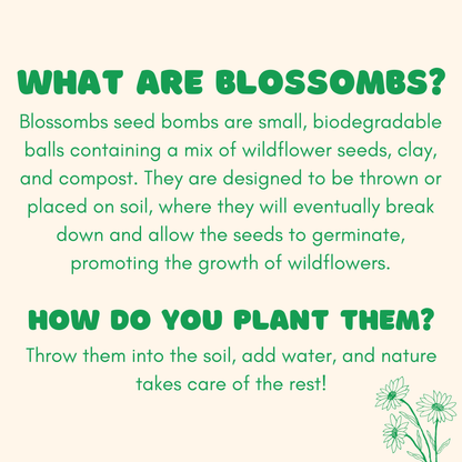 Wildflower Seed Ball Kit