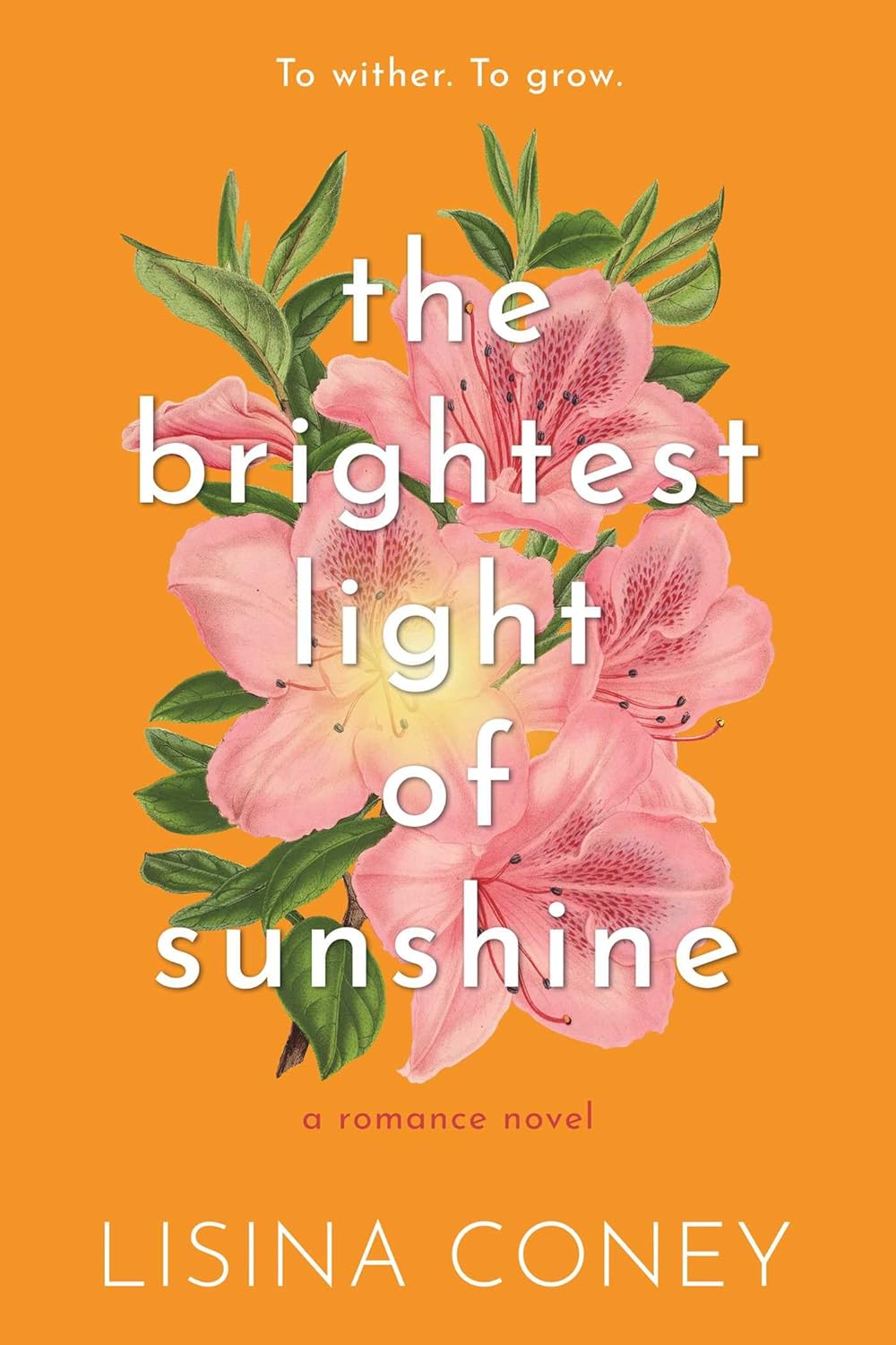 The Brightest Light of Sunshine (Signed)